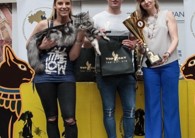 Final Top Cat Show Italy/Switzerland Novara (IT) 21/22 Aprile 2018